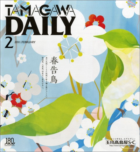 daily daily